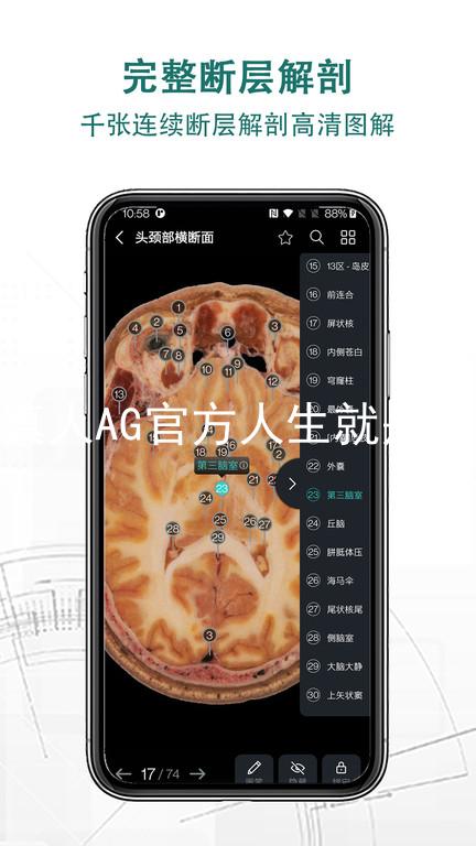 真人AG官方人生就是博